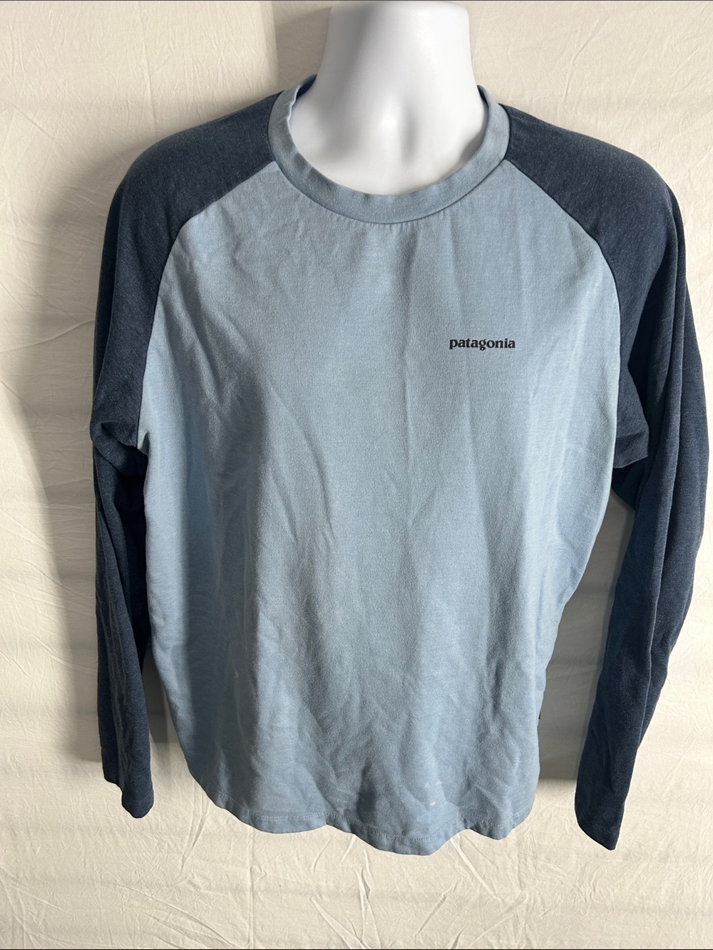Patagonia Light Blue Body with Dark Gray Raglan Long-Sleeve Shirt